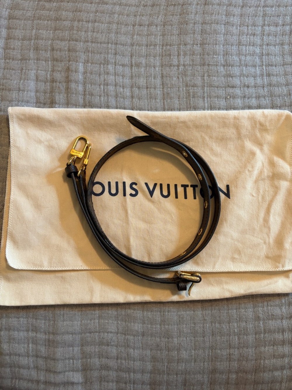 Louis Vuitton Pochette Métis strap
